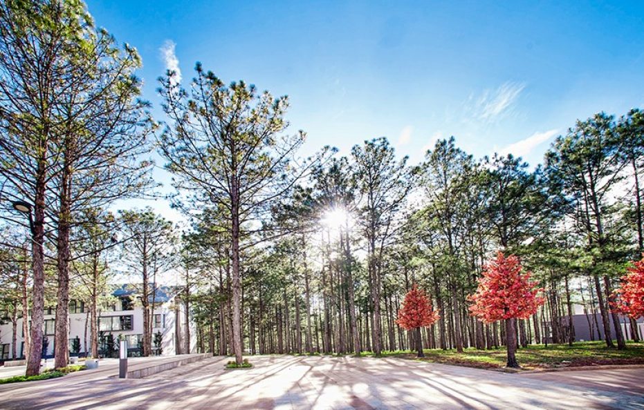 Terracotta Hotel & Resort Đà Lạt