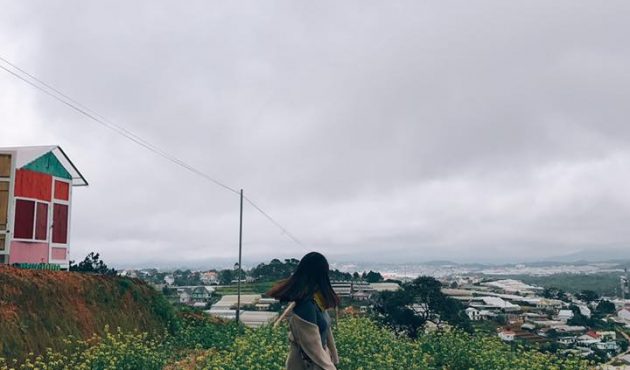 homestay-da-lat-8 homestay-da-lat-8