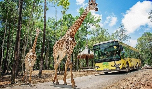 vinpearl-safari-phu-quoc-8932 vinpearl-safari-phu-quoc-8932