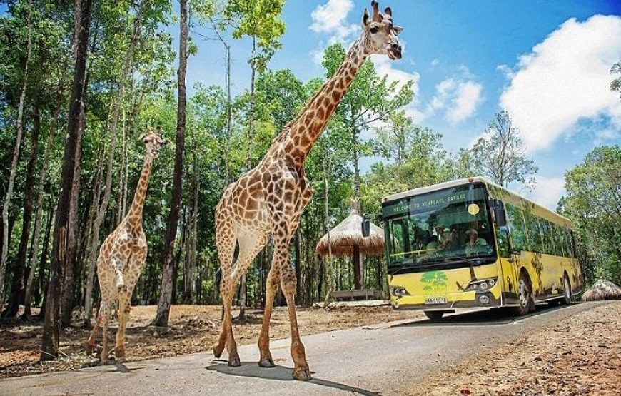 Vé Vinpearl Safari Phú Quốc