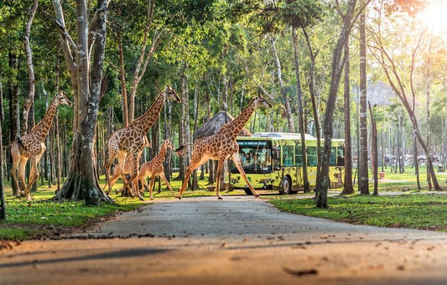 Vé Vinpearl Safari Phú Quốc