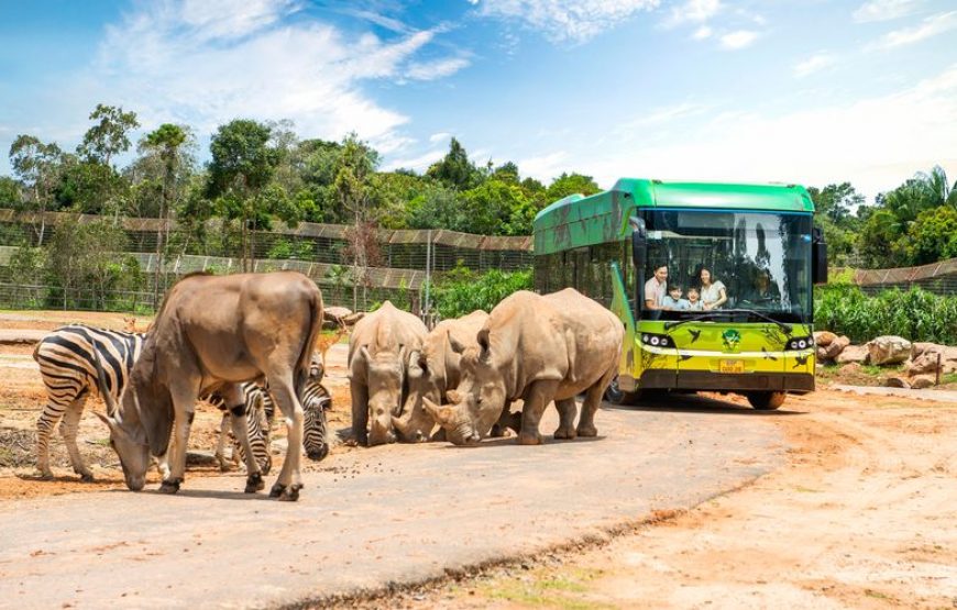 Vé Vinpearl Safari Phú Quốc