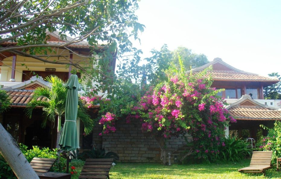 Deluxe hướng vườn