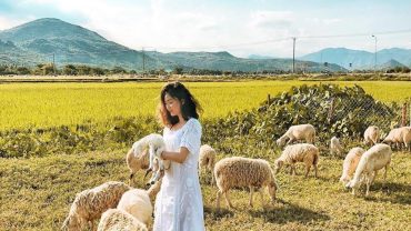 Cam Ranh, Khánh Hoà – Kinh Nghiệm Du Lịch 