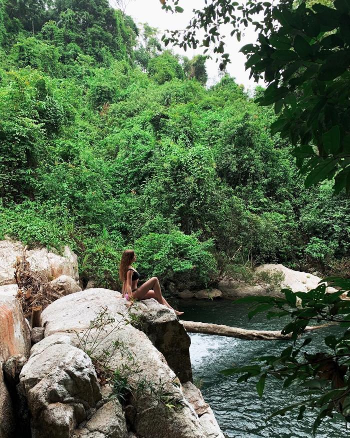 Hệ sinh thái của khu bảo tồn thiên nhiên Hòn Bà rất đa dạng