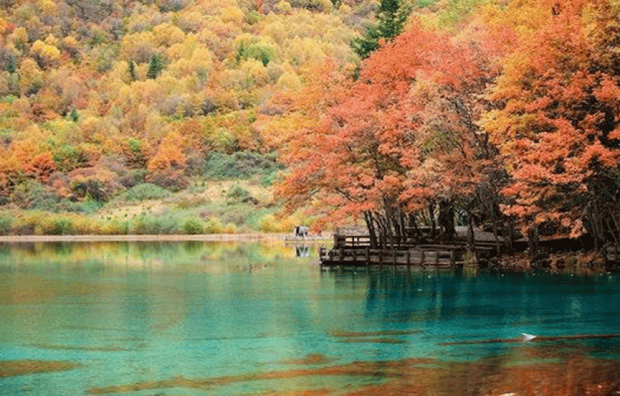 Tour Trùng Khánh – Thành Đô – Nga Mi – Lạc Sơn – Cửu Trại Câu 7N7Đ