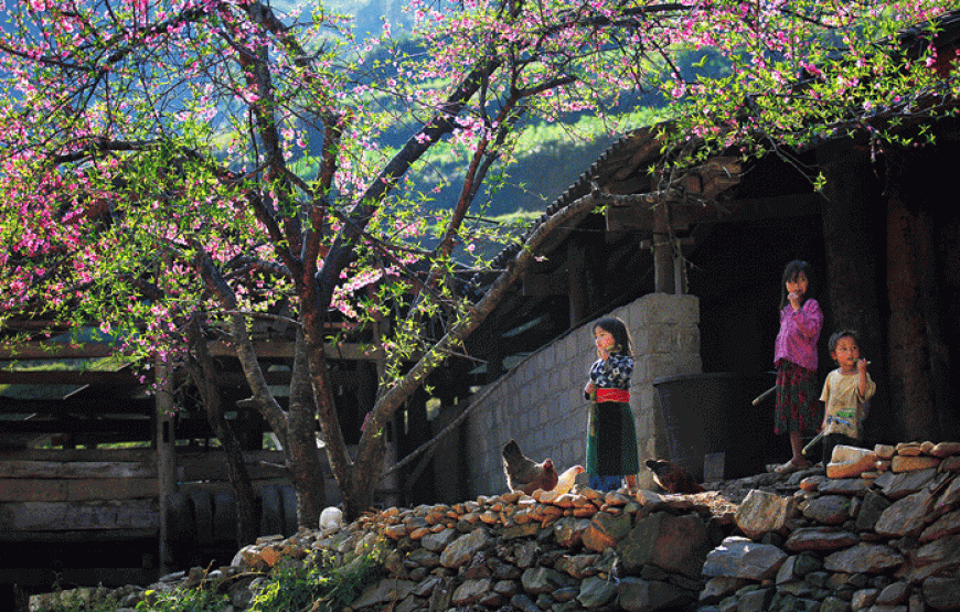Tour Đông Bắc: Hà Giang – Lũng Cú – Đồng Văn – Mã Pí Lèng – Mèo Vạc – Cao Bằng – Thác Bản Giốc – Hồ Ba Bể – Hà Nội 7N6Đ
